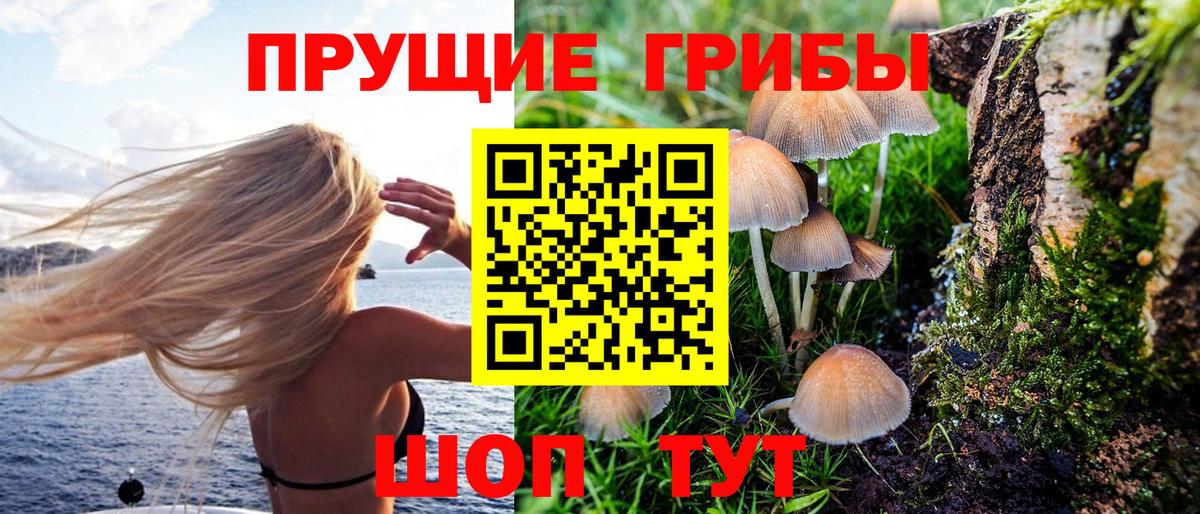 Псилоцибиновые грибы GOLDEN TEACHER  где продают   Мирный  Вход с VPN 